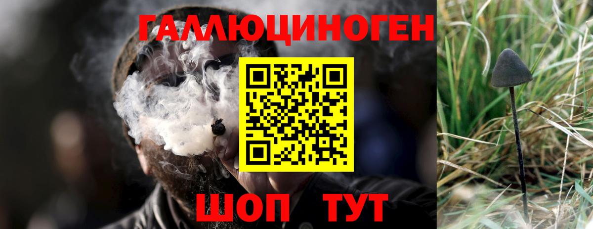 Лабытнанги  Галлюциногенные грибы Magic Shrooms  где купить наркоту  Вход с VPN 